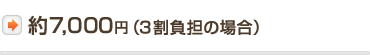 約8,000円　（３割負担の場合）